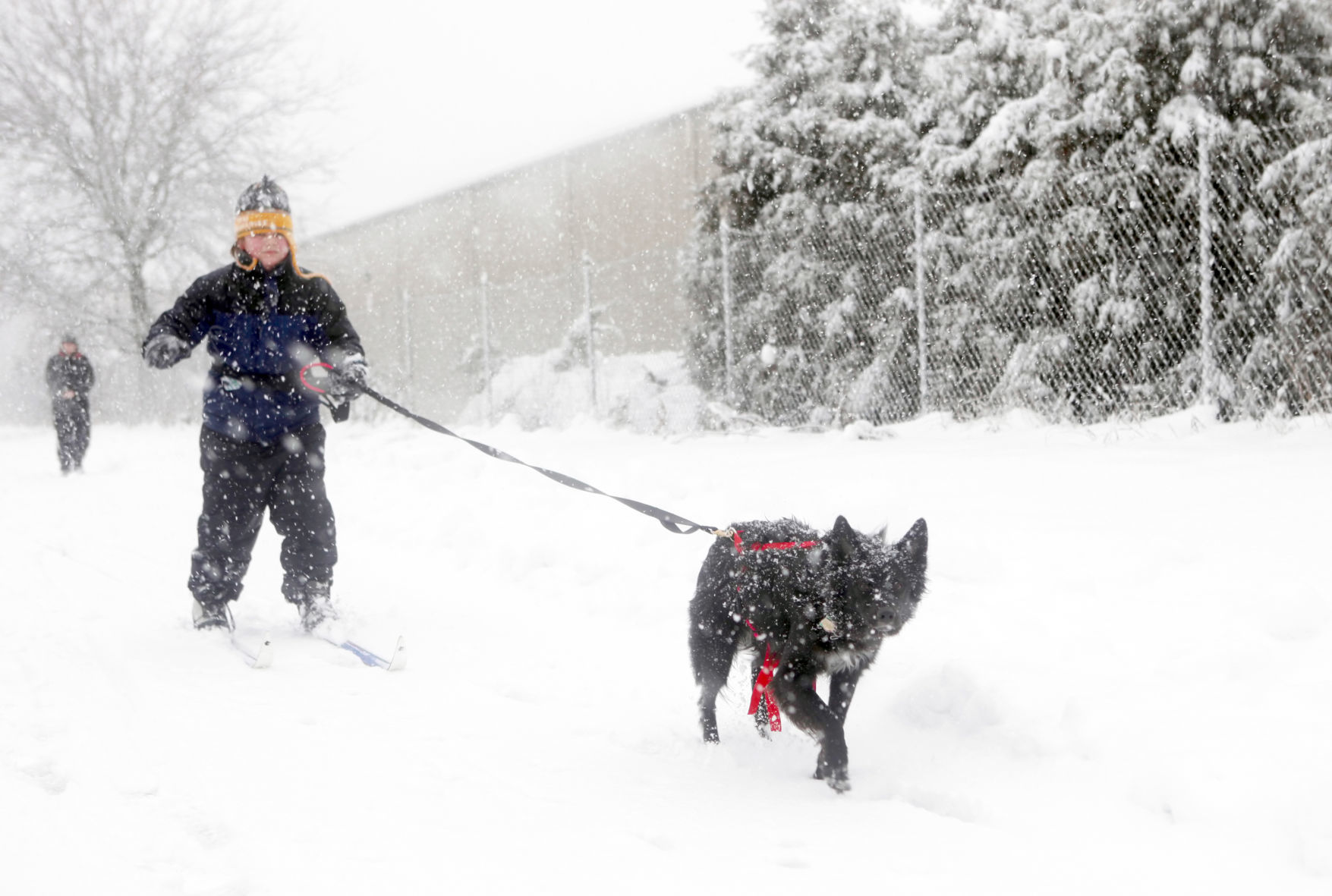 Scene from December 2012 blizzard